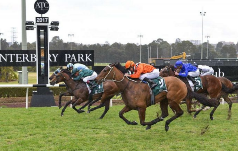 13/9/2023 Horse Racing Tips and Best Bets – Canterbury