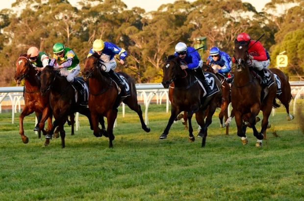 Grafton Horse Racing Tips and Best Bets 11/9/23 – theGreatTipOff