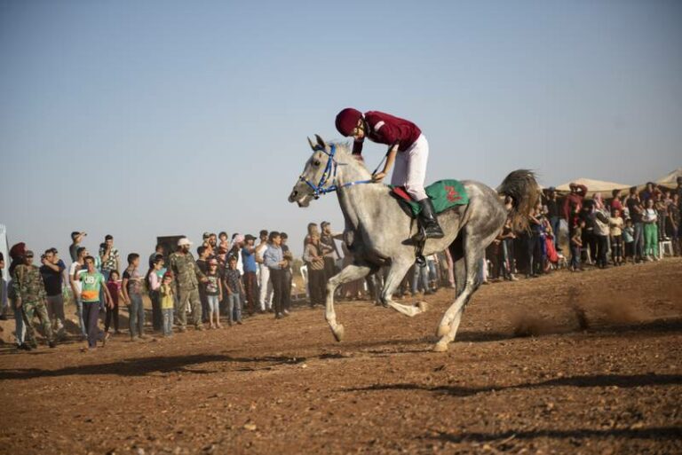 Battered Syrian town defies ISIS legacy with horse racing festival – The National