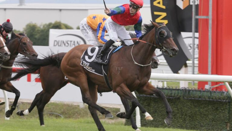 Racing: Sharp ‘N’ Smart wins big at Horse of the Year awards – NZ Herald