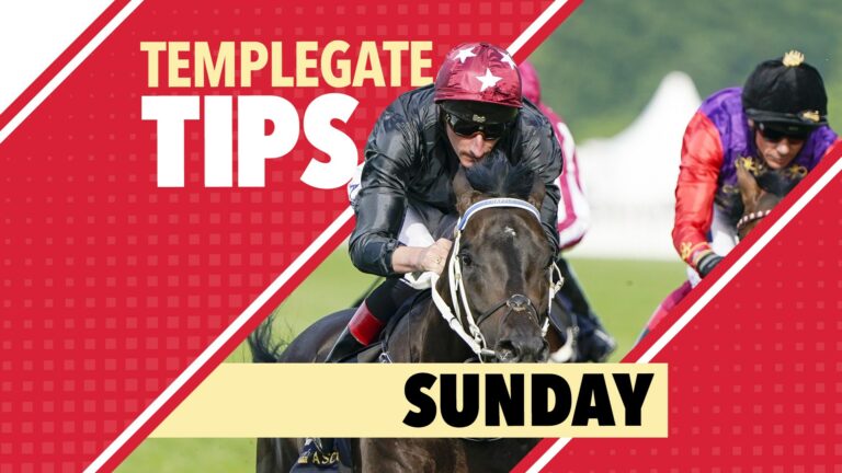 Horse racing tips: Templegate’s NAP can easily make it two in a row for trainer Olly Murphy