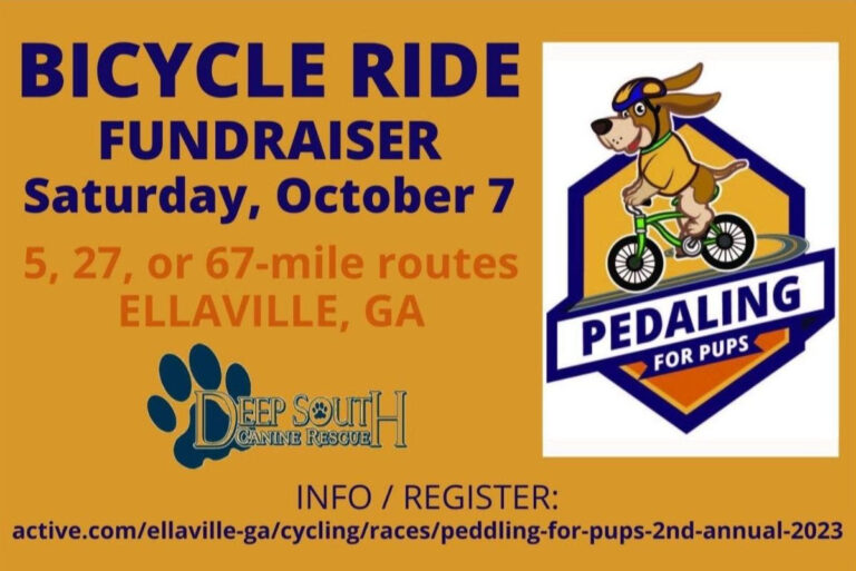 Sumter Cycling to host bicycle ride fundraiser this Saturday, October 7 – Americus Times-Recorder