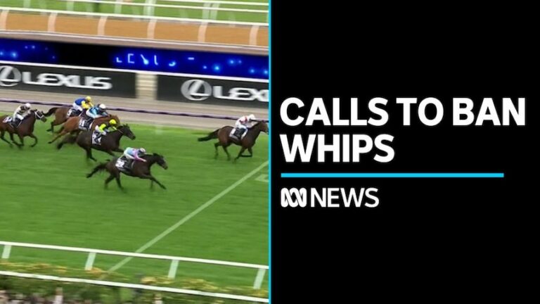 RSPCA calls for greater transparency in horse racing industry – ABC News
