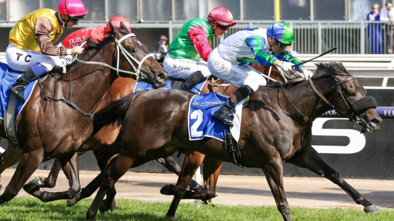 Horse racing: Kiwi glory as nothing goes Skew Wiff at last – NZ Herald