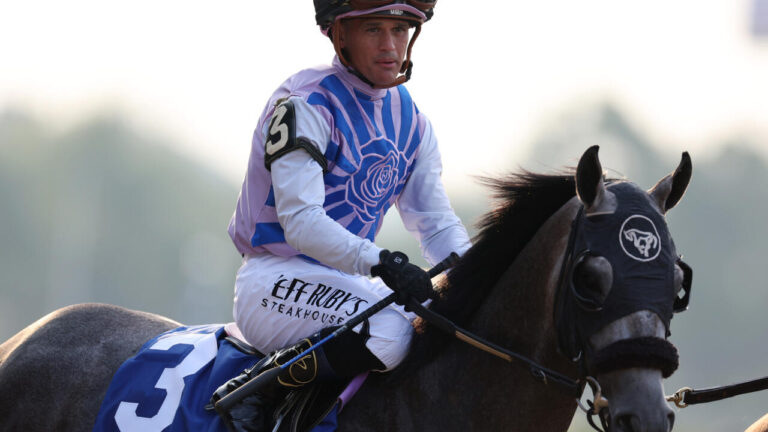 Breeders’ Cup horse dies, Belmont winner Arcangelo out – France 24