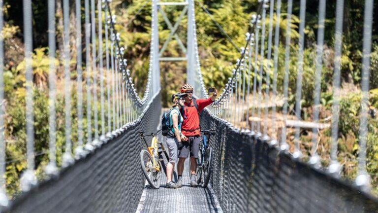 Timber Trail: A guide to New Zealand’s premier cycling journey – NZ Herald