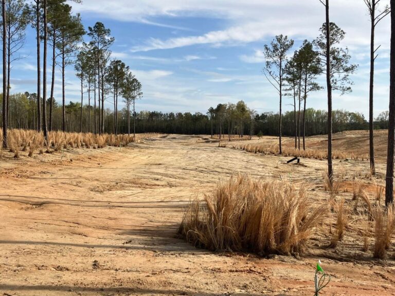 Broomsedge Sweeps Golf Into Underserved Area Of The Carolina Sandhills – Forbes