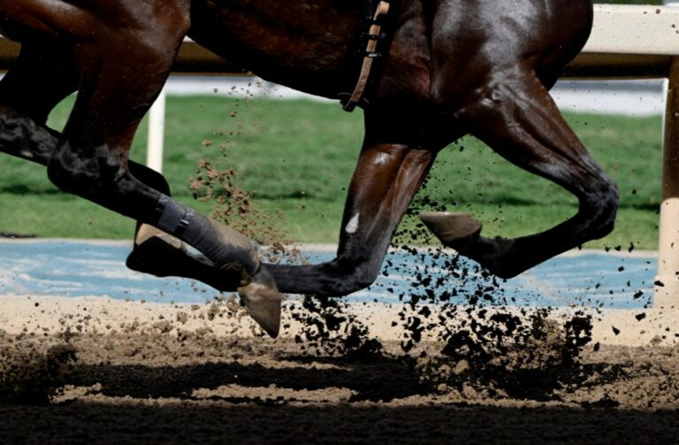 Rain to wipe out Santa Anita horse racing this weekend – Orange County Register