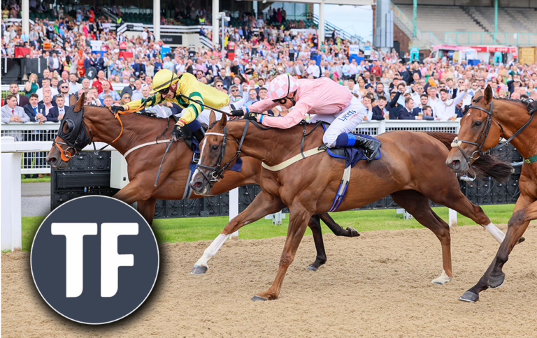 Horse Racing Tips: Timeform’s Sunday tips at Newcastle – Paddy Power News