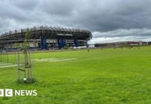 Cricket match abandoned over 'abuse from football fans'
