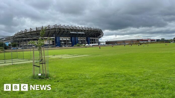 Cricket match abandoned over 'abuse from football fans'