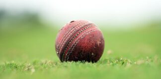 West Sussex cricket club bans sixes, reaction, neighbours complain