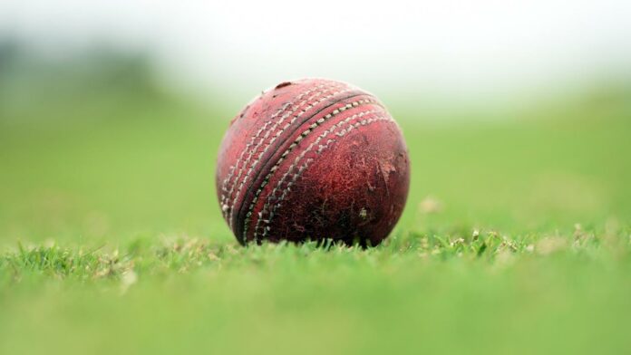 West Sussex cricket club bans sixes, reaction, neighbours complain