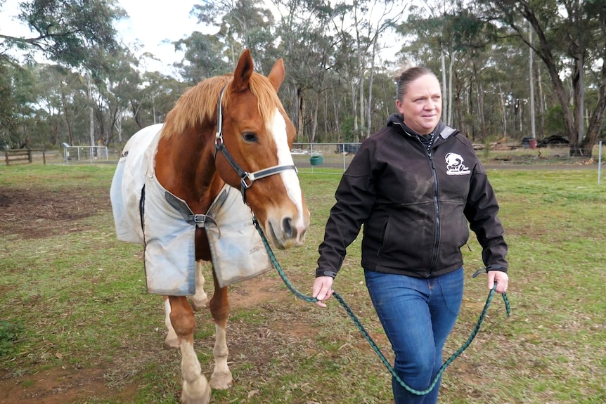 A lady wearing a jacket, jeans and boots walks a thoroughbred