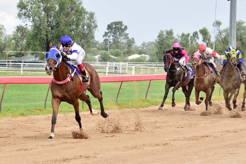 A brown horse running in a race on a sand track, well out in the lead before other horses.