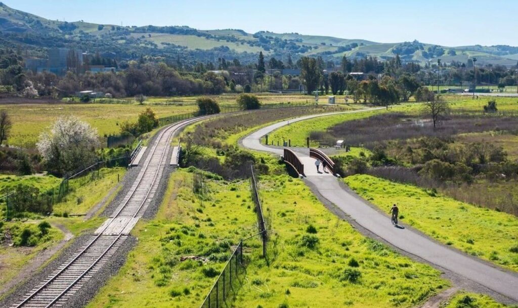 vine trail napa valley on Thanksgiving