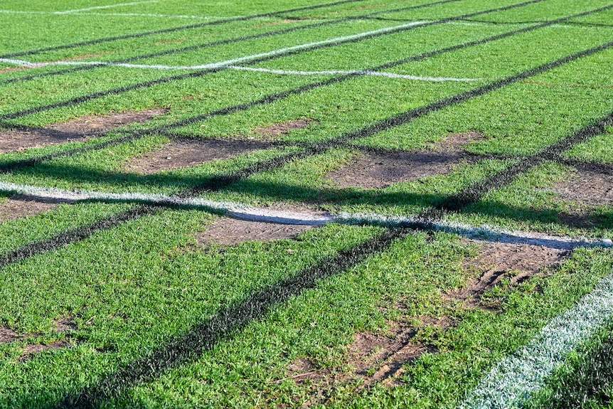 A grass oval with mud holes. 