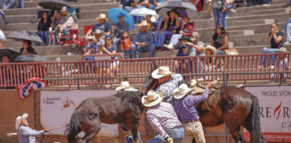 Randy Stewart Team captures wild horse racing crown at Ceremonial