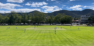 Tamworth cricket competition expands | New England Times