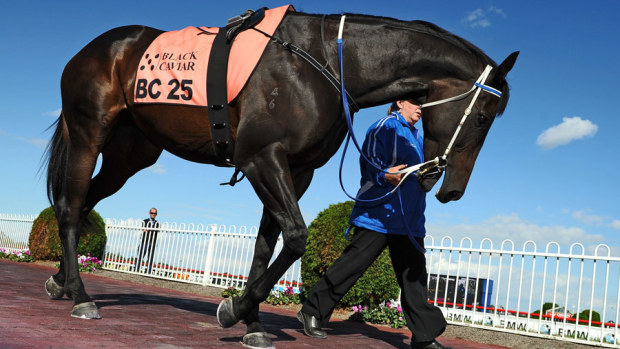 Black Caviar (Vince Caligiuri/Getty Images)