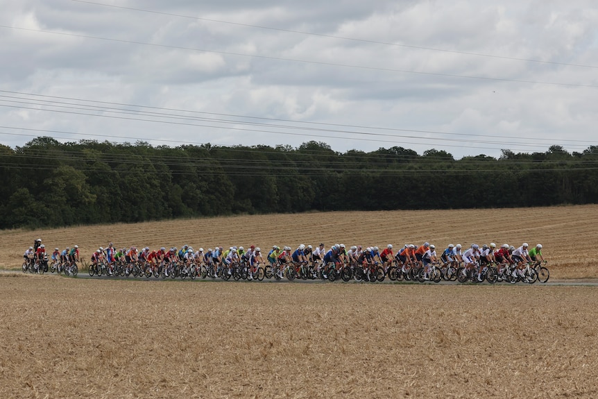 Riders ride together through a field