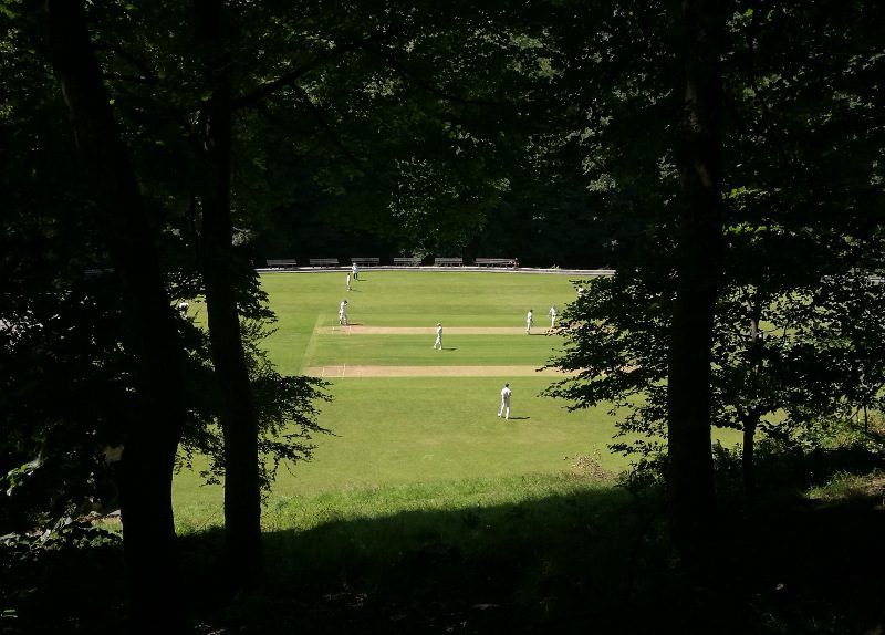 triangle cricket club