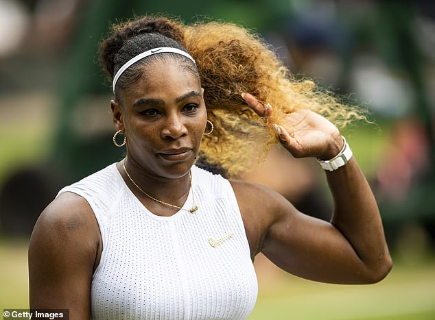 Serena Williams, the retired former world No 1 and 23-time grand slam singles champion, attracted unwanted attention from obsessive fans on more than one occasion in her career