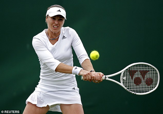 Martina Hingis, another former world No 1, seen here in action at Wimbledon in 2007, testified in court against an Australian naval architect who stalked her between 1999 and 2000