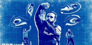 Adil Rashid graphic