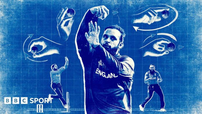 Adil Rashid graphic