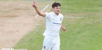 Henry Crocombe celebrates taking a wicket for Sussex