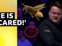 Shaun Murphy
