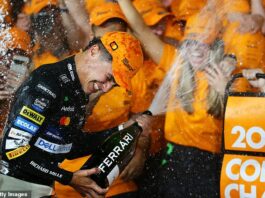 Cheers: McLaren driver Lando Norris will be fighting for the Championship in 2025