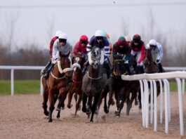 Southwell hosts racing on the Flat