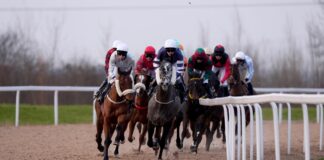 Southwell hosts racing on the Flat