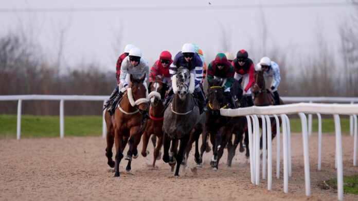 Southwell hosts racing on the Flat