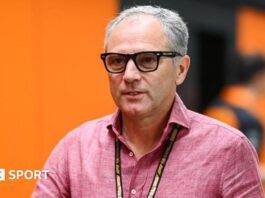 Formula 1 CEO Stefano Domenicali