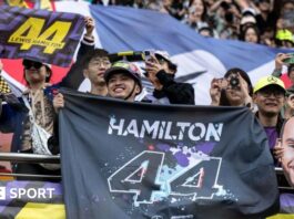 Fans in China hold up signs for Lewis Hamilton 