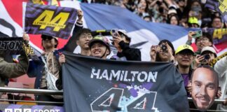 Fans in China hold up signs for Lewis Hamilton 