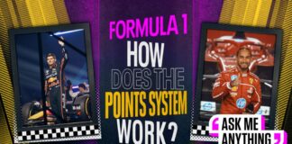 Formula 1 scoring system graphics