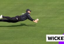 Kane Williamson