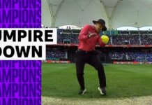 Umpire takes evasive action